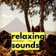 Обложка для martin relaxing - meditative sounds