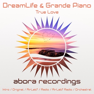 Обложка для DreamLife, Grande Piano - True Love