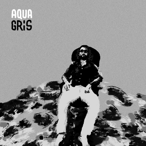 Обложка для Aqua - Gris