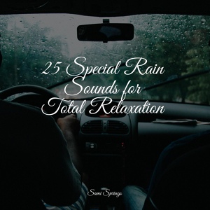 Обложка для Música Zen Relaxante, Rain, Massage - Splish Splash Rains