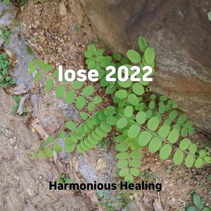 Обложка для Harmonious Healing - lose 2022