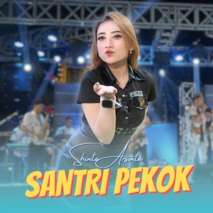Обложка для Shinta Arsinta - Santri Pekok