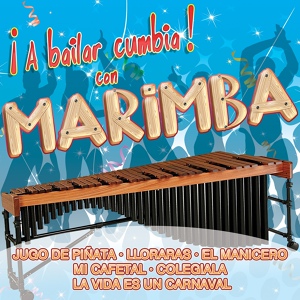 Обложка для Marimba Flor De Playas - Llorarás