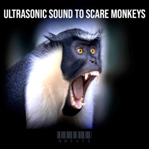 Обложка для nBeats - Ultrasonic Sound to Scare Monkeys