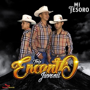 Обложка для Trio Encanto Juvenil - Bailando Con Encanto