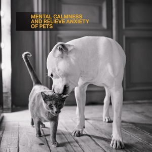Обложка для Calm Pets Music Academy - Pets Sleep