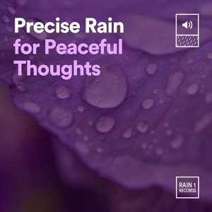 Обложка для 24H Rain Sounds - Rain Blossom