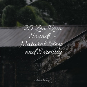 Обложка для Instrumental, Zen Music Garden, Sleeping Baby Songs - Soft Window Rains