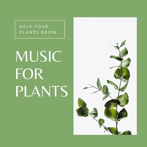 Обложка для Zen Garden Secrets - Music for Plants to Grow