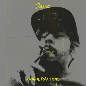 Обложка для josuedacook - Panic