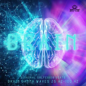Обложка для Meditation Music Zone - 50 Hz-20 Hz Binaural Beats