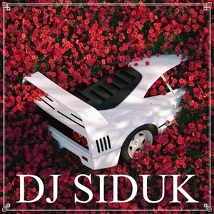 Обложка для DJ SIDUK - Menepi X Drop Gta X Melody Mashup, Vol. 2
