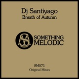 Обложка для Dj Santiyago - Dance for Me