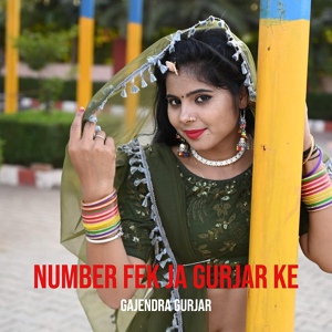 Обложка для Gajendra Gurjar - Number Fek Ja Gurjar Ke