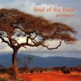 Обложка для John Patitucci - Soul Of The Bass