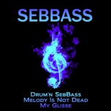 Обложка для SEBBASS - Drum'n Sebbass (2007)