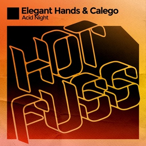 Обложка для Elegant Hands, Calego - Acid Night