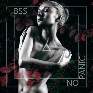 Обложка для BSS - No Panic