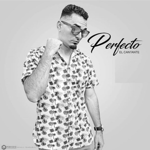 Обложка для Perfecto El Cantante - No Puedo Verte