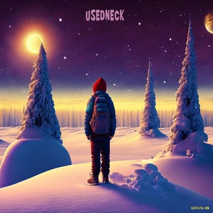 Обложка для USEDNECK - Groove