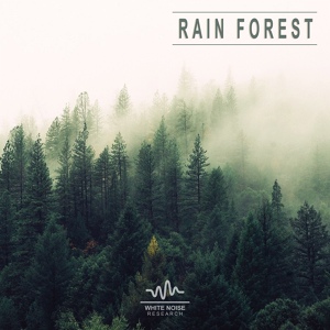 Обложка для White Noise Research - Rain Forest, Pt. 7