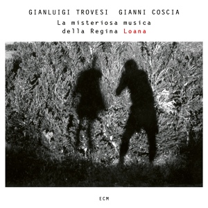 Обложка для Gianluigi Trovesi, Gianni Coscia - Volando