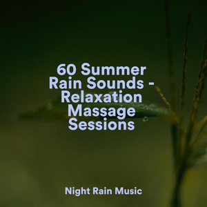 Обложка для Pink Noise, Spa Music Collective, Rainforest - Rain, Leaves, Morning
