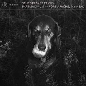 Обложка для Self Defense Family - FORT APACHE, MY HEAD