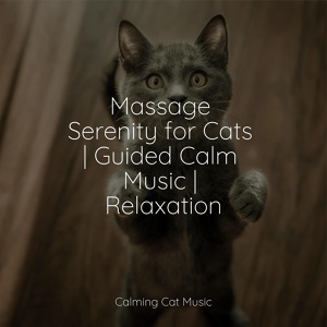 Обложка для Official Pet Care Collection, Music for Relaxing Cats, Cat Music - Spa Time