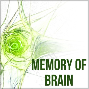 Обложка для Brain Study Music Guys - New Age Exam Study Music
