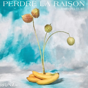Обложка для Suna feat. Yumi - Perdre la raison