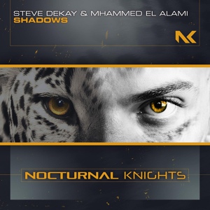 Обложка для Steve Dekay; Mhammed El Alami - Shadows (Extended Mix)