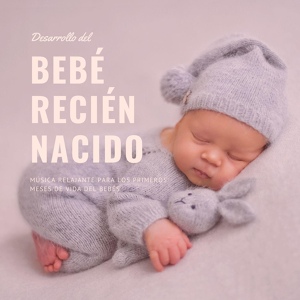 Обложка для Bebe Llorón - Érase una Vez un Bebé