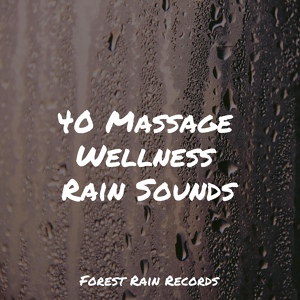 Обложка для Wellness, Namaste Healing Yoga, Rain Spa - Rain in a Barrel
