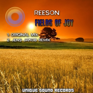 Обложка для Reeson - Fields Of Joy