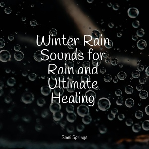 Обложка для Sleep Tight, Rain Makers, Natural Sounds - White Noise Roof Shed Rain