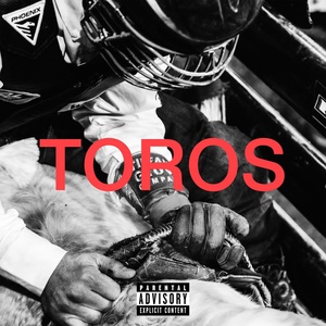 Обложка для Ferdy - Toros