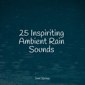 Обложка для Relaxation Music Guru, Entspannungsmusik Meer, Pink Noise - White Noise Rain Drops