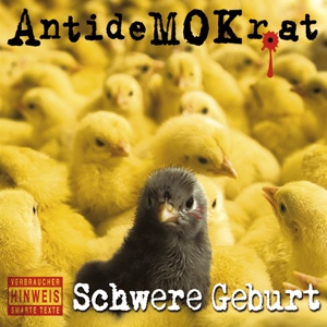 Обложка для Antidemokrat feat. Stürmer C feat. Stürmer C - Am End´ Kommt Licht