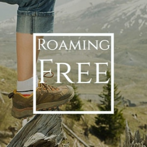 Обложка для John Macdonald - Roaming Free