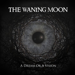 Обложка для The Waning Moon - Towards The Nights