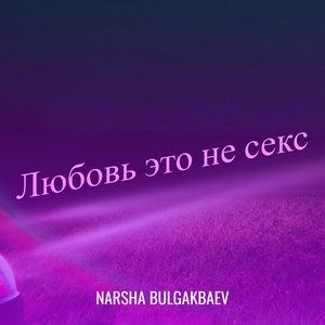 Обложка для Narsha Bulgakbaev - Ведь я ее любил