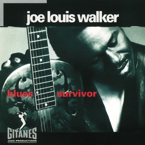 Обложка для Joe Louis Walker - 03 - My Dignity - 1993 - Blues Survivor