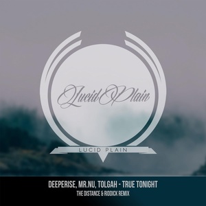 Обложка для Mr.Nu, Deeperise, Tolgah - True Tonight (The Distance & Riddick Remix)