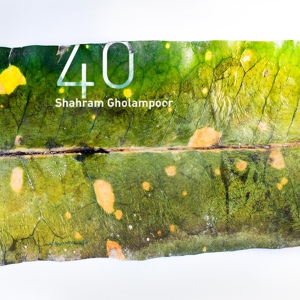 Обложка для Shahram Gholampoor - The Next