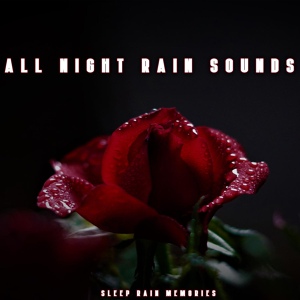 Обложка для Sleep Rain Memories - Rain Aesthetic