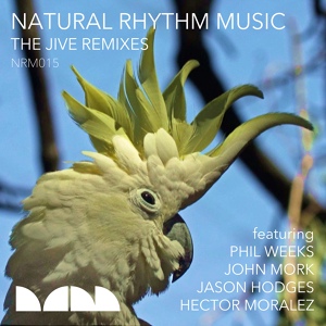 Обложка для Natural Rhythm - The Jive