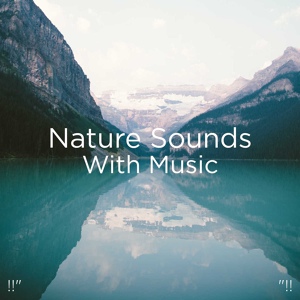 Обложка для BodyHI, Nature Sounds, Nature Sounds Nature Music - Deep Sleep Music & Oceans