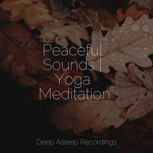 Обложка для Best Relaxing SPA Music, Instrumental, Calming Sounds - Water Ripple