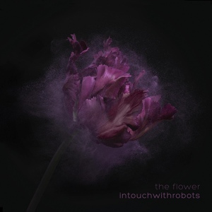 Обложка для intouchwithrobots - The Flower